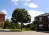 Thumbnail 14 of 16 - A tree stands in front of a brick building on a sunny day.