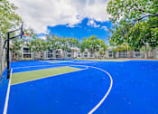 Thumbnail 43 of 51 - A basketball court with a blue surface and white lines.
