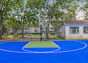 Thumbnail 42 of 51 - A basketball court with a green patch in the middle.
