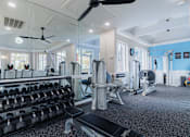 Thumbnail 27 of 51 - A gym with a variety of equipment including dumbbells, weight machines, and a bench press.