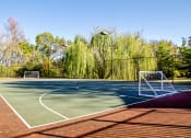Thumbnail 5 of 22 - a tennis court with two nets and trees in the background