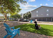 Thumbnail 16 of 20 - A dog sits on the grass next to a blue chair.
