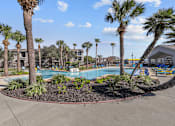 Thumbnail 13 of 20 - A pool surrounded by palm trees and plants.