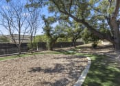 Thumbnail 28 of 39 - pet area in san antonio apartments
