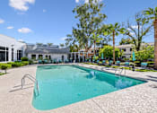 Thumbnail 4 of 29 - A swimming pool surrounded by palm trees and lounge chairs.