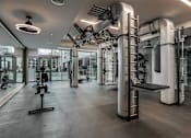 Thumbnail 22 of 26 - A gym with a variety of equipment including treadmills, weights, and exercise machines.