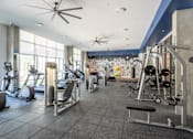 Thumbnail 12 of 16 - A gym with a variety of equipment including treadmills, weights, and exercise machines.
