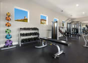 Thumbnail 8 of 33 - the gym at the enclave at woodbridge apartments in sugar land, tx