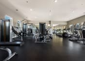 Thumbnail 9 of 33 - a large fitness room with cardio equipment and weights