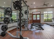 Thumbnail 29 of 49 - squat machine in fitness room