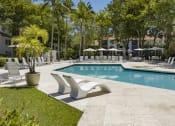 Thumbnail 24 of 52 - the swimming pool at the resort at longboat key club