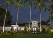 Thumbnail 41 of 52 - a house with palm trees in front of it at night