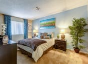 Thumbnail 16 of 20 - Playa Vista Apartments Las Vegas Nevada