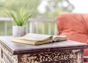 Thumbnail 16 of 19 - A book is open and resting on a wooden box with a plant beside it.