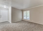 Thumbnail 10 of 20 - an empty bedroom with a window and a door