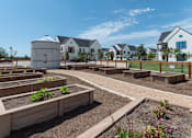 Thumbnail 22 of 38 - A garden with raised beds and a water tank in the background.