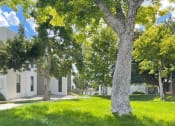 Thumbnail 8 of 11 - a large white building with trees in front of it