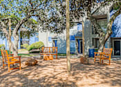 Thumbnail 53 of 62 - A sunny day at a park with wooden chairs and trees.