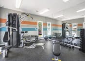 Thumbnail 8 of 19 - the gym is equipped with weights and other gym equipment
