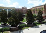 Thumbnail 19 of 21 - Serene Landscaping