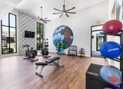 Thumbnail 13 of 20 - a home gym with a large mural on the wall