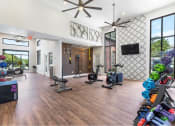 Thumbnail 15 of 20 - a home gym with weights and a tv on the wall
