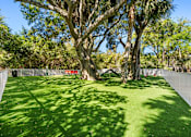 Thumbnail 38 of 40 - A backyard with a green lawn and a large tree.