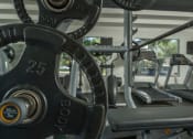 Thumbnail 23 of 24 - a treadmill and elliptical machines in a gym