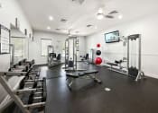 Thumbnail 13 of 41 - the gym at the apartments for rent