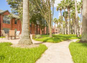 Thumbnail 21 of 22 - a pathway through palm trees in front of a building