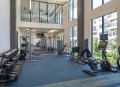 Thumbnail 25 of 34 - a gym with cardio machines and weights in a building with large windows