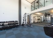 Thumbnail 26 of 34 - Free weights in the gym