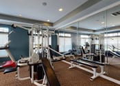 Thumbnail 17 of 26 - a gym with weights and cardio equipment at the enclave at university heights