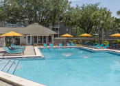Thumbnail 11 of 19 - the swimming pool at the resort at longboat key club