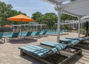 Thumbnail 14 of 19 - a pool area with lounge chairs and umbrellas