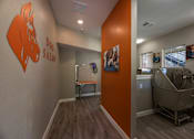Thumbnail 27 of 39 - Pet wash station at Woodbridge Villas Apartments, Sachse, TX