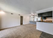 Thumbnail 16 of 36 - the living room and kitchen of an apartment with carpeting and a kitchen counter top