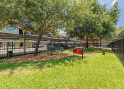 Thumbnail 42 of 54 - a park with trees and a bench in front of a building