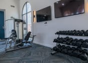 Thumbnail 37 of 54 - a gym with weights and a tv on the wall