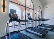 Thumbnail 36 of 54 - a row of treadmills in a fitness room with large windows
