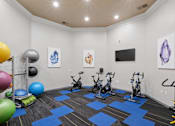 Thumbnail 37 of 38 - A gym with exercise equipment and exercise balls.