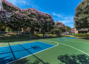 Thumbnail 21 of 30 - basketball court in austin texas apartments