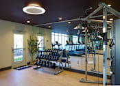 Thumbnail 25 of 27 - A gym with a variety of equipment including a treadmill, weights, and a bench press.