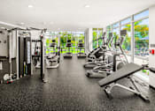 Thumbnail 9 of 59 - A gym with a variety of equipment including treadmills, weights, and exercise machines.