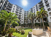 Thumbnail 45 of 63 - A sunny day at a courtyard with palm trees and a hot tub.