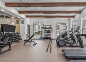Thumbnail 47 of 47 - a gym with treadmills and other exercise equipment and windows