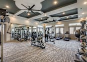 Thumbnail 23 of 24 - A spacious gym with a variety of equipment including treadmills, weights, and exercise machines.