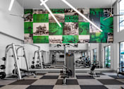 Thumbnail 28 of 30 - weighting lifting room