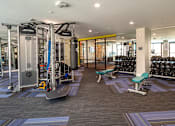 Thumbnail 11 of 25 - a gym with weights and cardio equipment in a building
