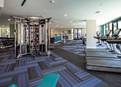 Thumbnail 10 of 25 - a gym with cardio machines and weights on the floor